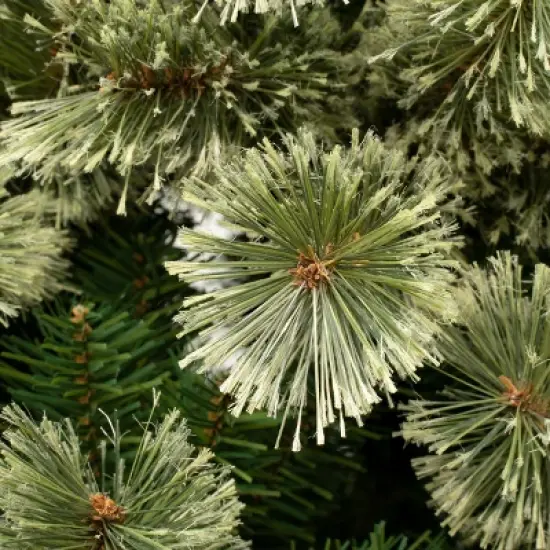 6' Unlit Hinged Arcadia Cashmere Pine Artificial Christmas Tree - National Tree Company image {2}