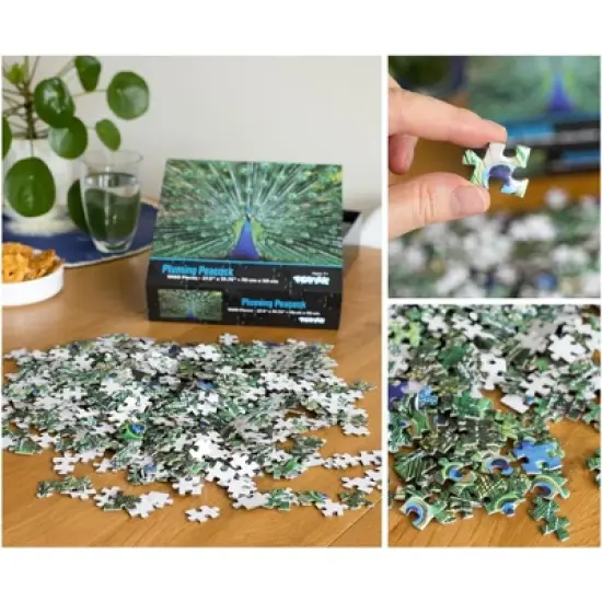 Toynk Peacock Plume Wild Zoo Animal 1000 Piece Jigsaw Puzzle image {3}