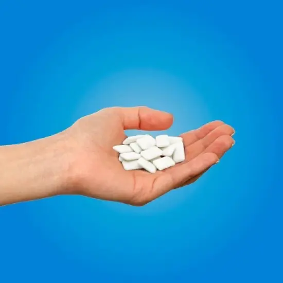 Pur Gum Peppermint Bag - 2.72oz image {3}