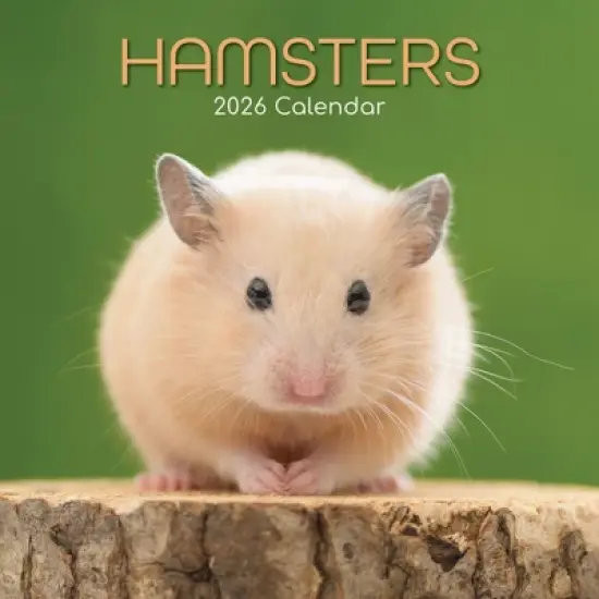2026 Square Wall Calendar, Hamsters, 16-Month Animals Theme with 180 Reminder Stickers (12x12 In) image {4}