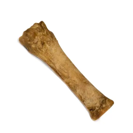 Nylabone Healthy Edibles Dog Chews - Bacon Flavor- 1 Pack image {3}