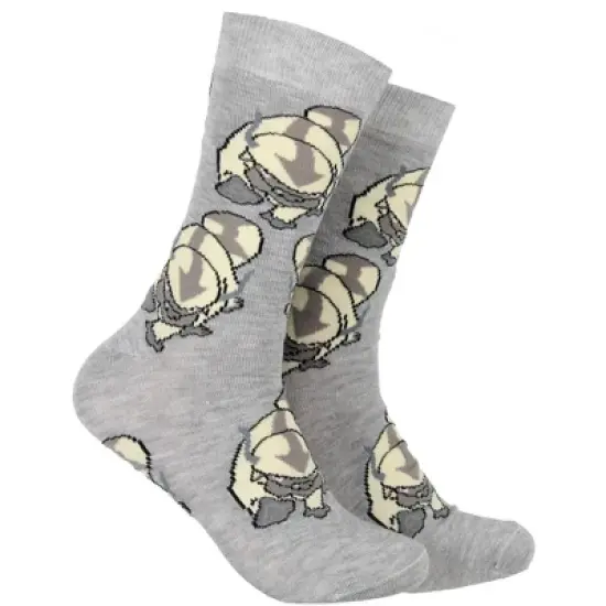 Avatar The Last Airbender Aang and Appa Character Adult Crew Socks 2 Pair Multicoloured image {1}