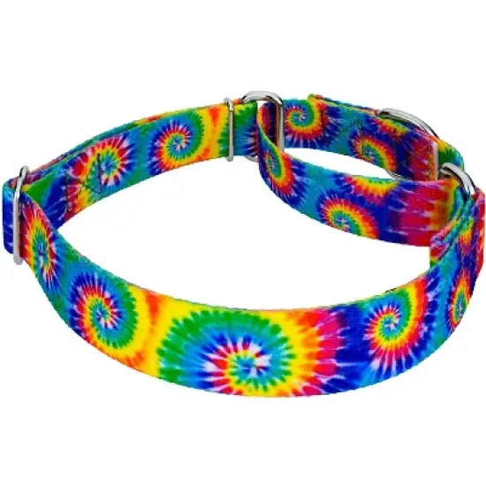 Country Brook Petz Martingale Dog Collar - Groovy Collection image {2}
