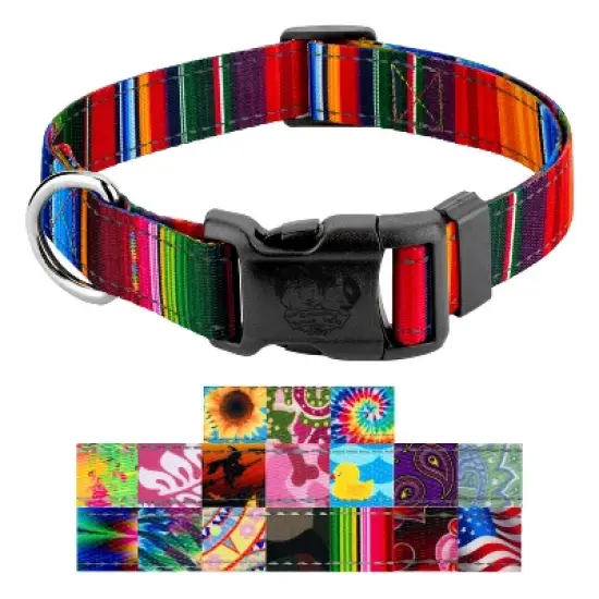 Country Brook Petz Deluxe Reflective Dog Collar image {5}