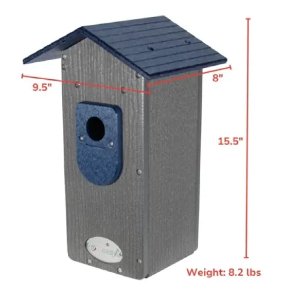 JCS Wildlife Smart Bluebird House - Wi-Fi Camera & Solar Powered Birdhouse, Live Streaming, Bird Nest Monitoring image {7}