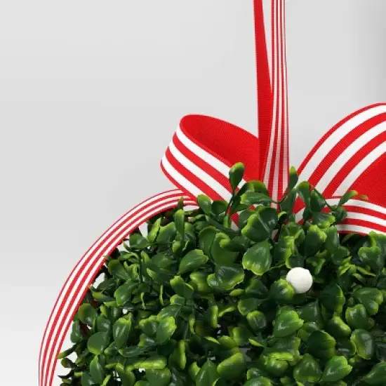 Christmas Box Wood Mistletoe - Wondershop&trade; image {2}