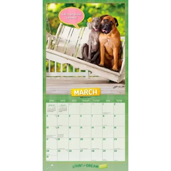 Browntrout 2024 Wall Calendar 12"x12" Avanti Livin' the Dream Foiled image {2}