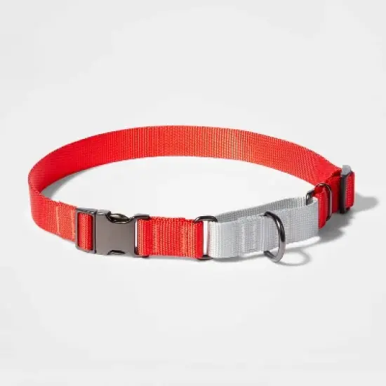 Martingale with Buckle Dog Collar - Tomato/Silver - Boots & Barkley&trade; image {6}