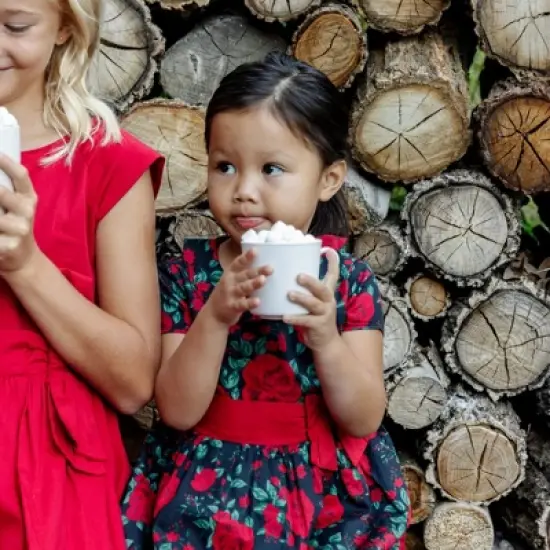 Hope & Henry Girls' Short Sleeve Ruffle Collar Party Dress with Bow, Infant image {3}