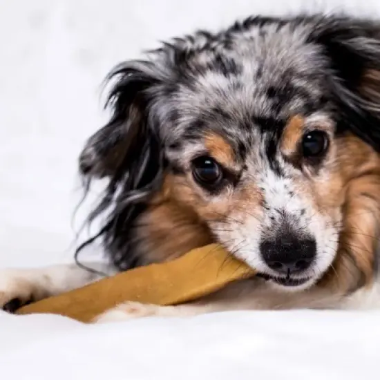 Chewmeter Himalayan Yaky  Yak Cheese Dog Chew image {4}