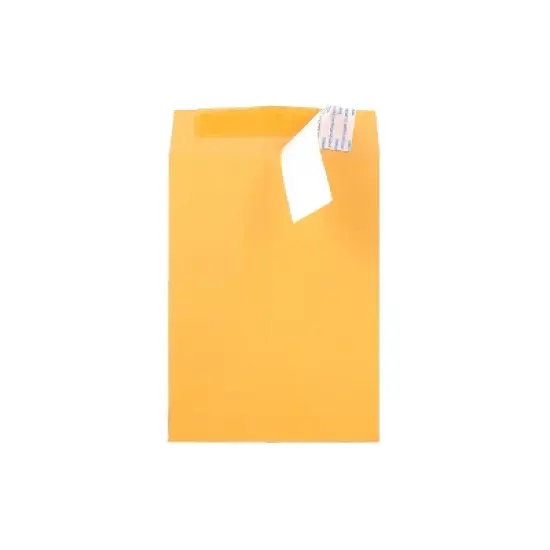 JAM Paper Peel & Seal Kraft Open End  Catalog Envelope 6 1/2" x 9 1/2" Brown 500/Pack (13034229C) image {1}