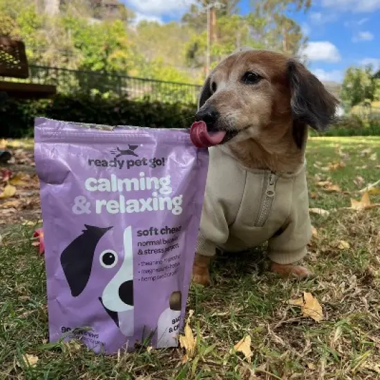 Ready Pet Go Dog Calming Treats for Anxiety & Separation, Herbal Hemp Calming Chews for Dogs Anxiety & Stress Support, Bacon Cheese Flavor, 60 or 90ct image {4}