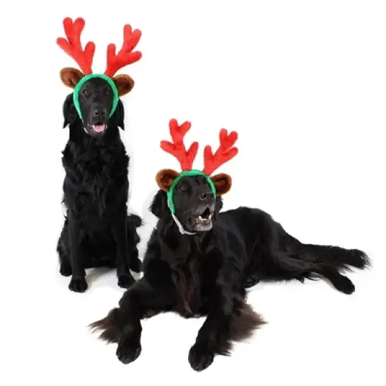 Midlee Christmas Reindeer Antlers with Ears for Large Dogs image {1}
