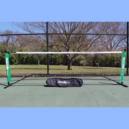 OnCourt OffCourt  PickleNet image {3}