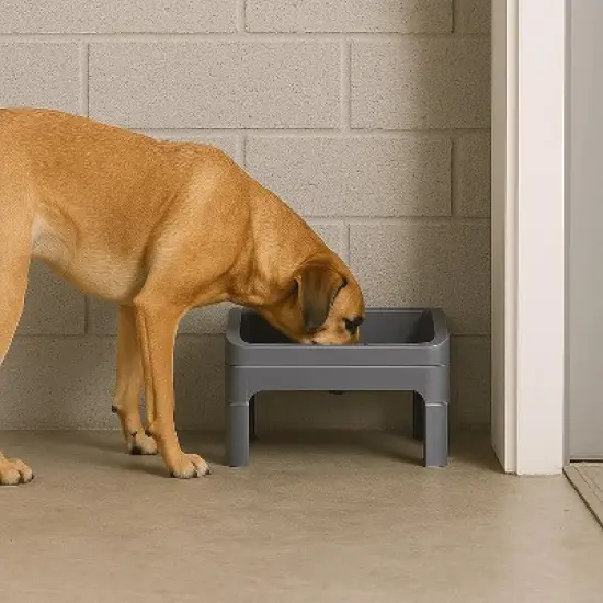 IRIS USA Adjustable Elevated Dog Bowls Removable Feeding Station, Gray image {3}
