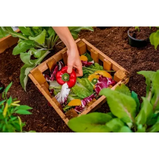 Vita 48"x48" Mezza Keyhole Square Garden Bed Planter image {8}
