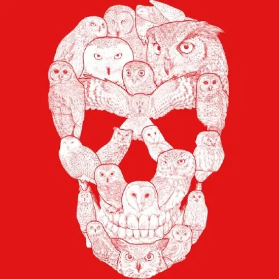 Boy's Design By Humans Sketchy Owl Skull By Dinny T-Shirt image {1}
