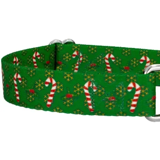 Country Brook Petz Candy Cane Christmas Martingale Dog Collar image {5}