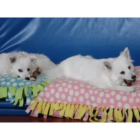 Pawstruck Natural Bully Stick Springs for Dogs - Healthy Grain-Free Single Ingredient Dental Treats Chews Made in USA image {6}