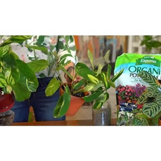 Espoma Organic Potting Soil Mix - All Natural Potting Mix For All Indoor & Outdoor image {5}