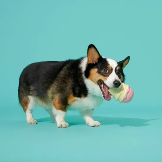 BARK Super Chewer I-Squeak Cone Ice Cream Dog Toy image {5}