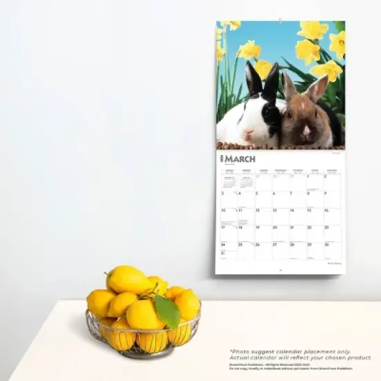Browntrout 2024 Wall Calendar 12"x12" Honey Bunny image {3}