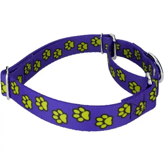 Country Brook Petz Blue Busy Paws Martingale Dog Collar and Leash Limited Edition image {2}