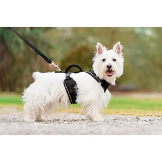 PetSafe EasySport Adjustable Dog Harness image {1}