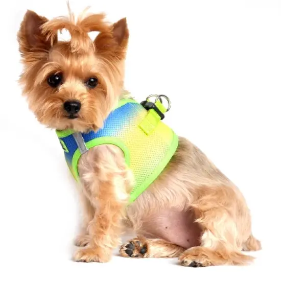 Doggie Design American River Choke Free Dog Harness Ombre Collection-Cobalt Sport image {2}