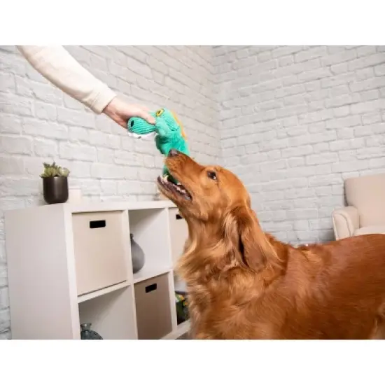 TrustyPup - Plush Gator Dog Toy - Teal - L - 1ct image {4}