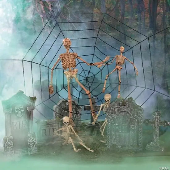 Fun Express Large Spider Web image {2}