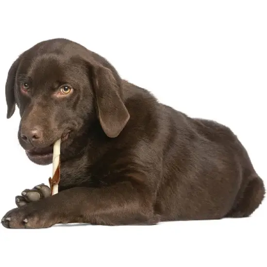 Cadet Rawhide & Duck Twists, 50 Count Resealable Package image {2}