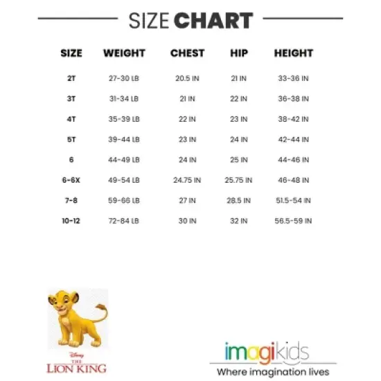 Disney Pixar Cars Lightning McQueen Tow Mater Girls 2 Pack T-Shirts Toddler to Big Kid image {6}