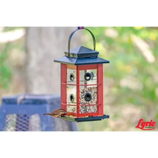 Lyric 20lb Fruit and Nut High Energy Mix Wild Bird Food: Attracts Cardinals, Woodpeckers & More image {8}