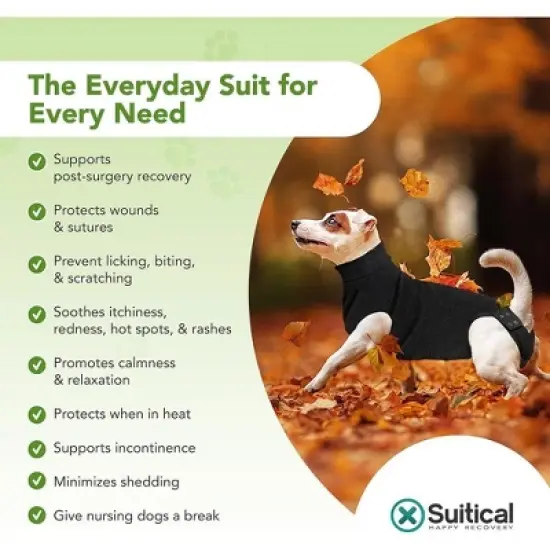 Suitical Recovery Suit for Dogs with Click Up System - Black image {3}
