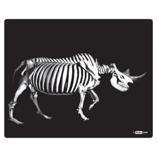 Roylco What's Inside Animals? image {5}