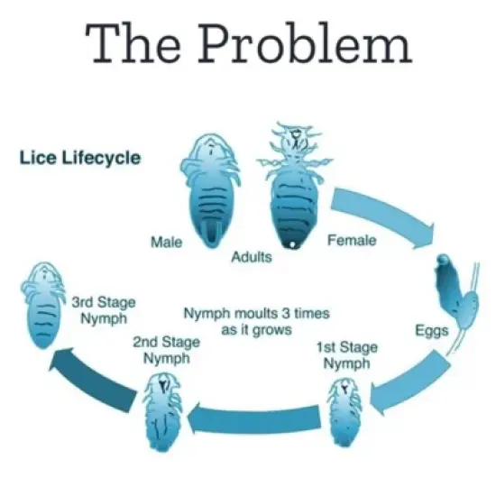 Mata Piojos Medicated Shampoo - 2 fl oz image {5}