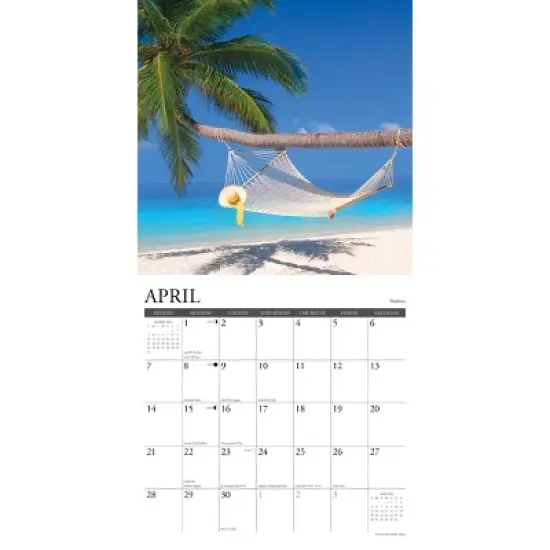 Willow Creek Press 2024 Wall Calendar 12"x12" Ah the Beach! image {2}