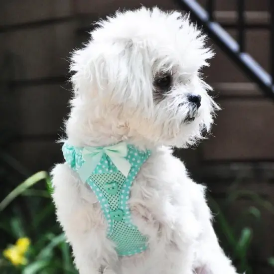 Doggie Design American River Choke Free Dog Polka Dot Ruffle Harness-Teal image {2}