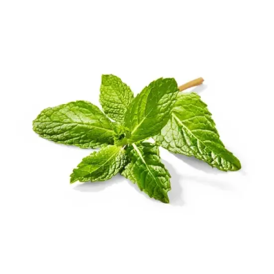 Organic Mint - 0.5oz - Good & Gather&trade; image {1}