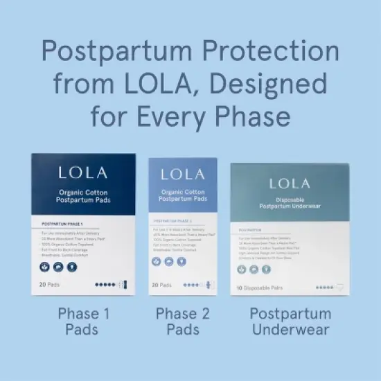 LOLA Postpartum Underwear with Organic Cotton Maxi Pad - 10ct image {9}