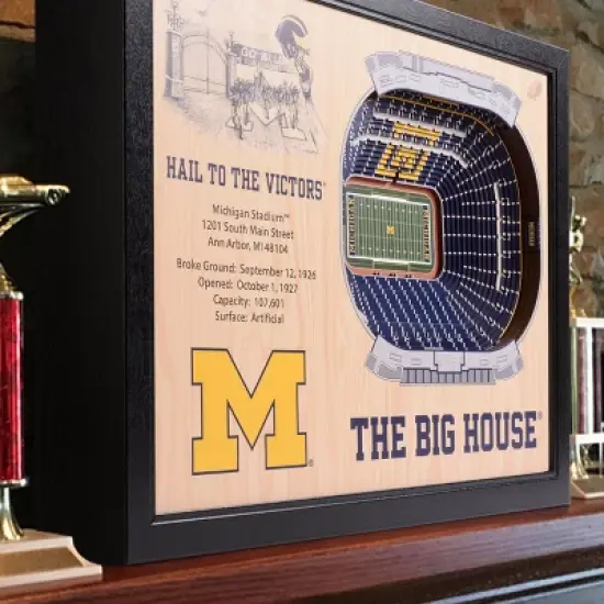 NCAA Michigan Wolverines 25-Layer StadiumViews 3D Wall Art image {1}