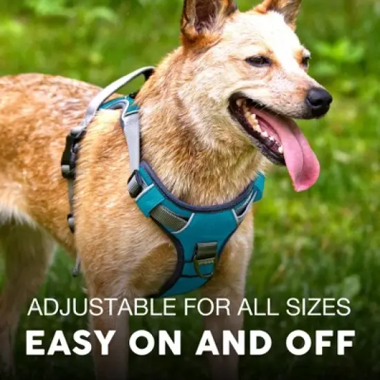 Embark Harness Co. Adventure No Pull Dog Harness image {3}
