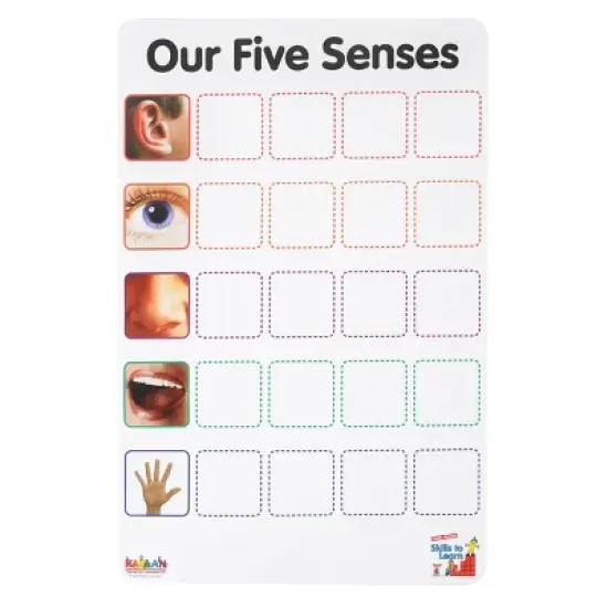 Kaplan Early Learning Company Our Five Senses Interactive Game image {1}