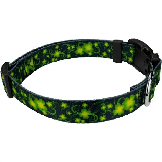 Country Brook Petz Clovers In The Wind Deluxe Dog Collar and Leash image {2}