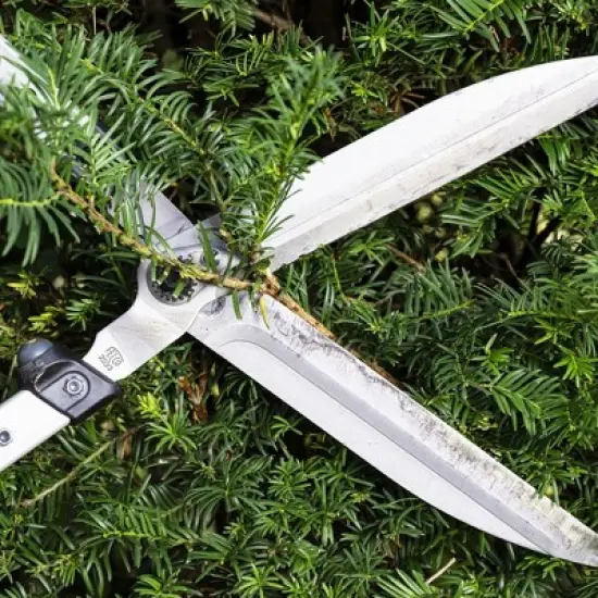 FELCO 250-63, 25in. Hedge Shear w/ Chrome Coated Carbon Steel Blade, I-Beam Handles, Ultra Light, Swiss Made image {3}