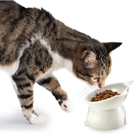 Nice Paws RECYCLED 2PC Plastic Cat Tilt Pet Bowls image {3}