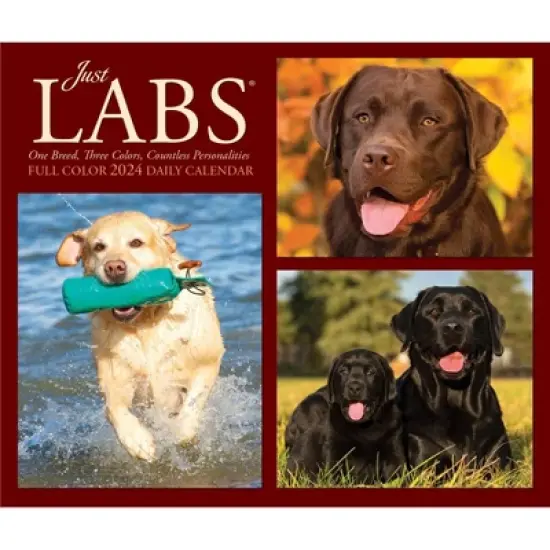 Willow Creek Press 2024 Daily Desk Calendar 5.2"x6.2" Labs image {4}