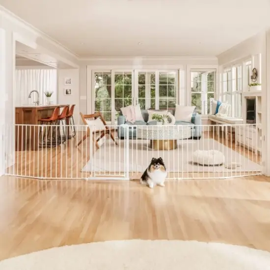 Carlson Tie Out Dog Leash - 20' image {1}