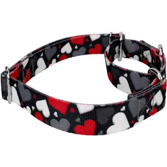Country Brook Petz Martingale Dog Collar - Affection Collection image {2}
